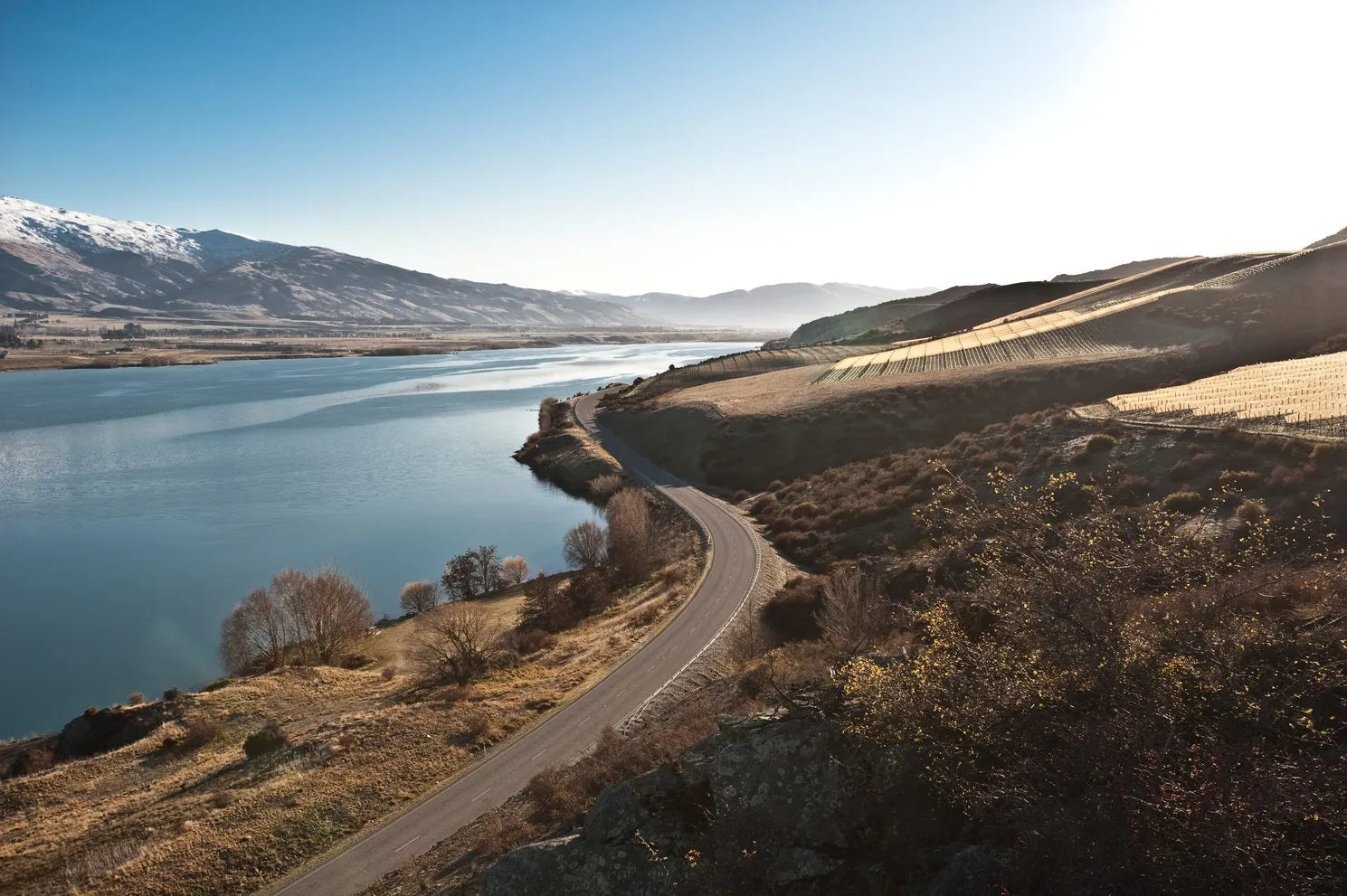 Nos vins de Central Otago : élégance alpine et Pinot Noir d’exception