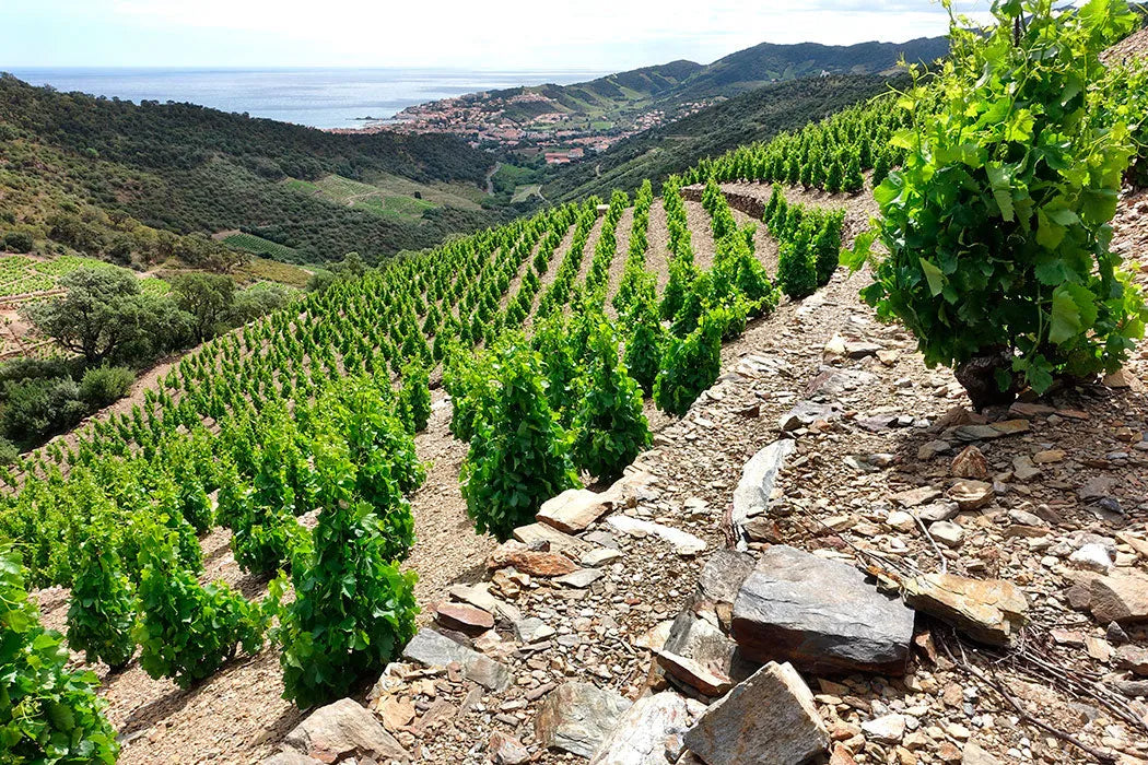 Nos Côtes Catalanes