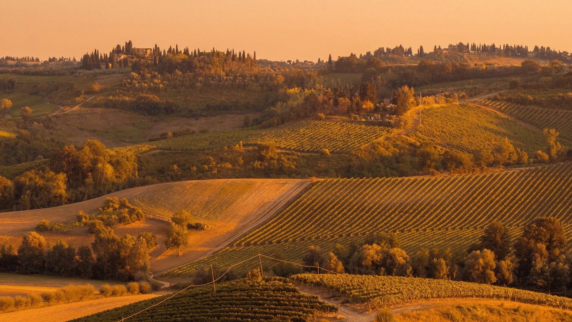 Nos vins italiens