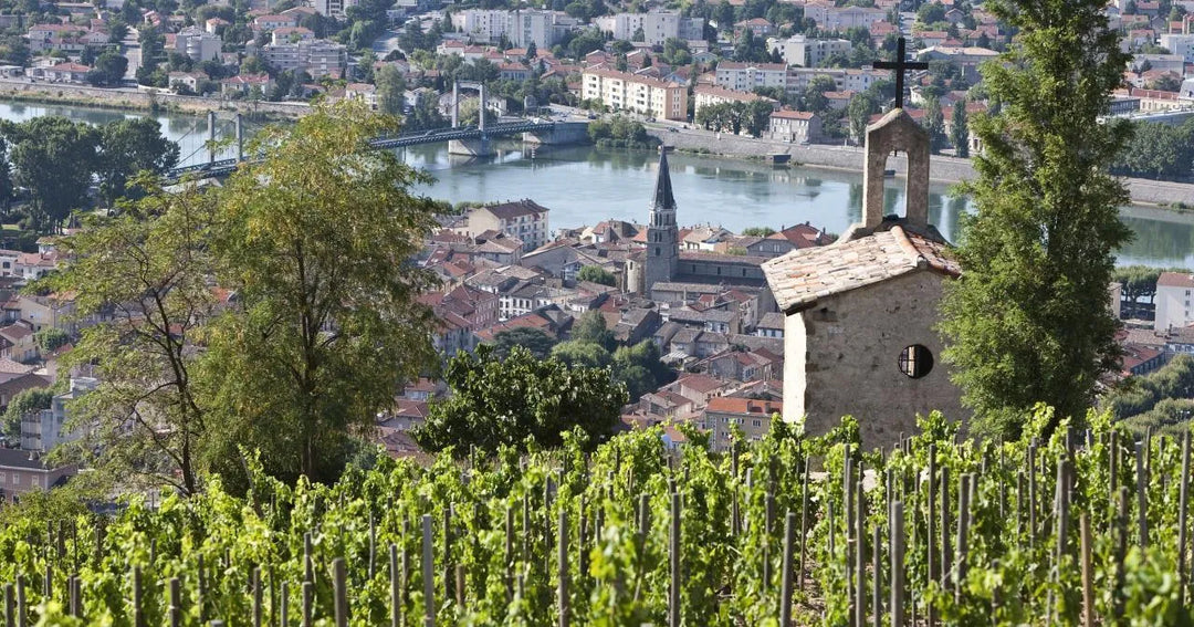Nos vins de Châteauneuf-du-Pape blanc et rouge