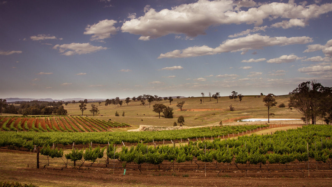 Vignoble australien