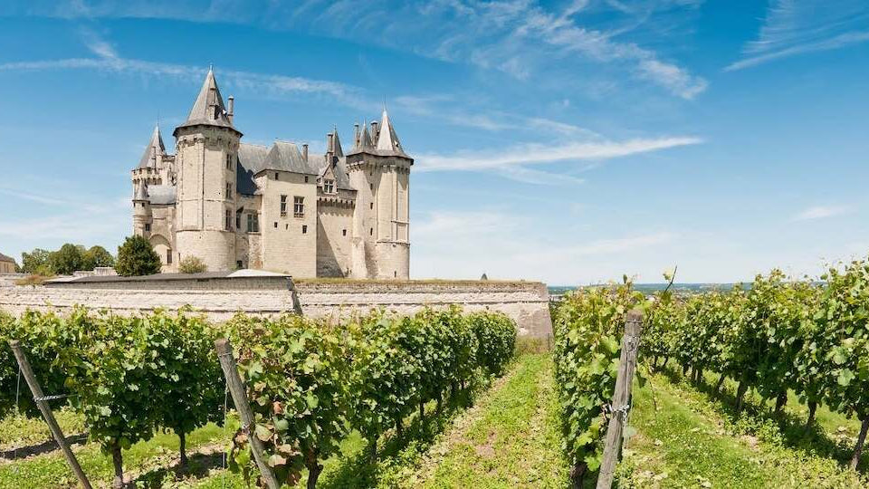 Nos vins de Loire