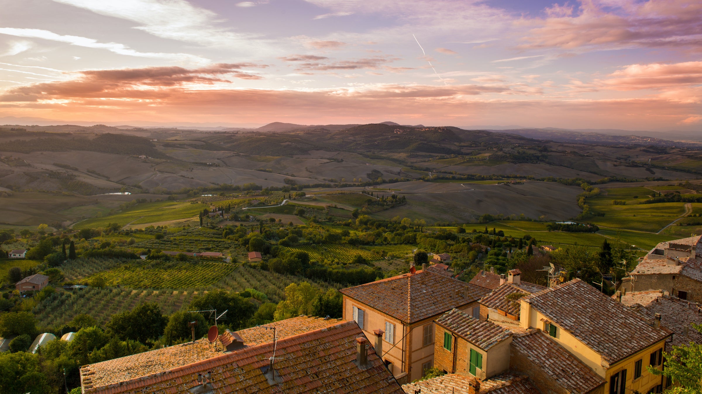 vignoble en provence