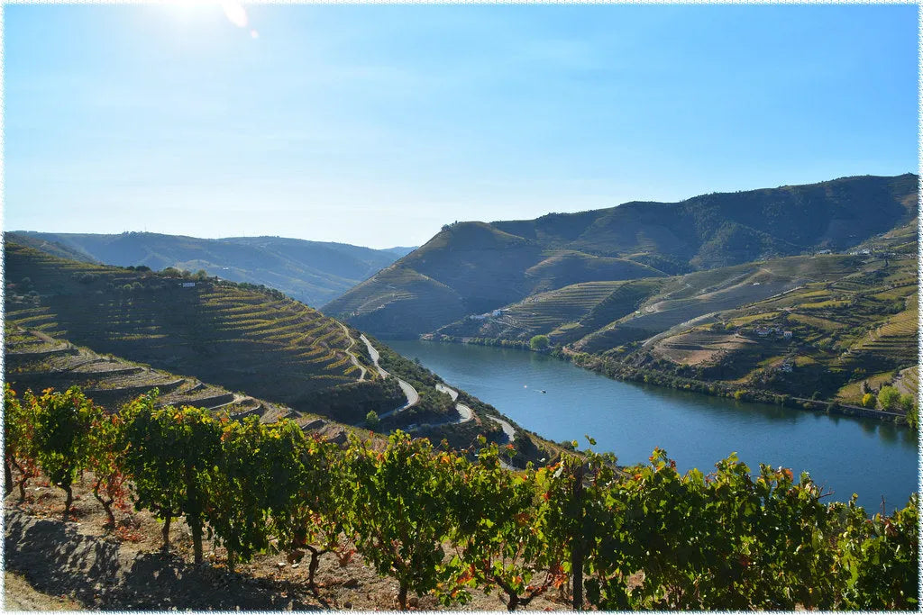 Nos vins du Portugal