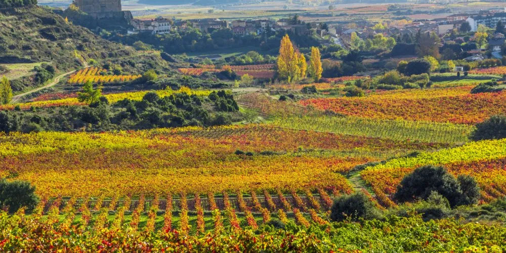 Nos vins de la Rioja