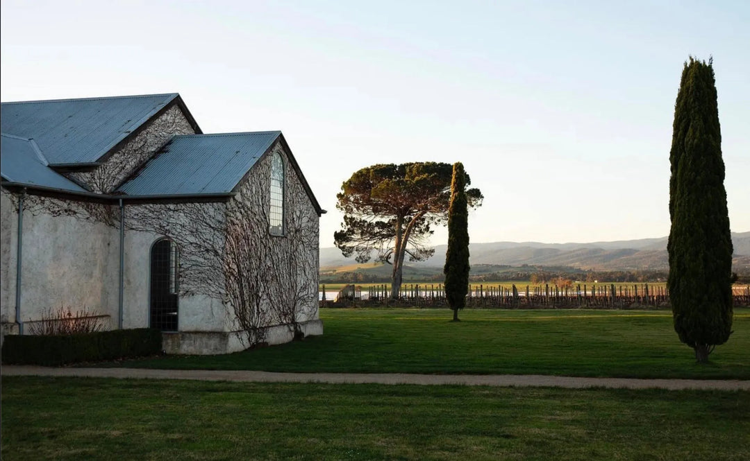 vignoble de chardonnay, yarra valley, Australie