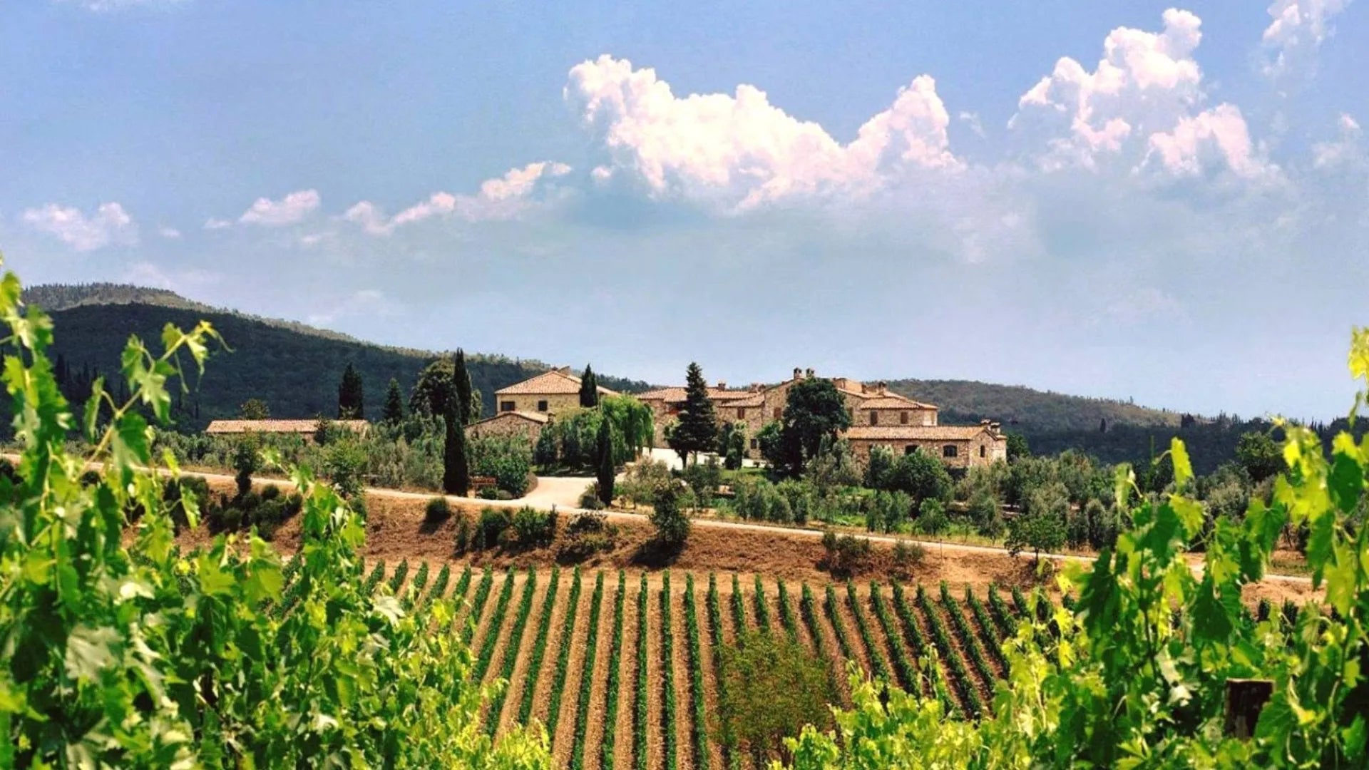 Vins de Toscane