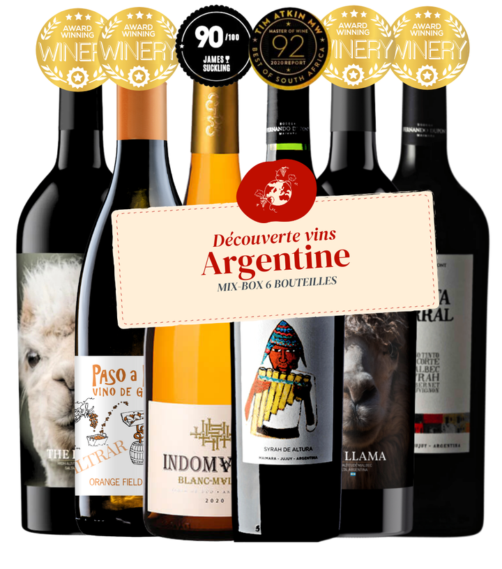 Coffret Découverte Vins d'Argentine (6x75cl)