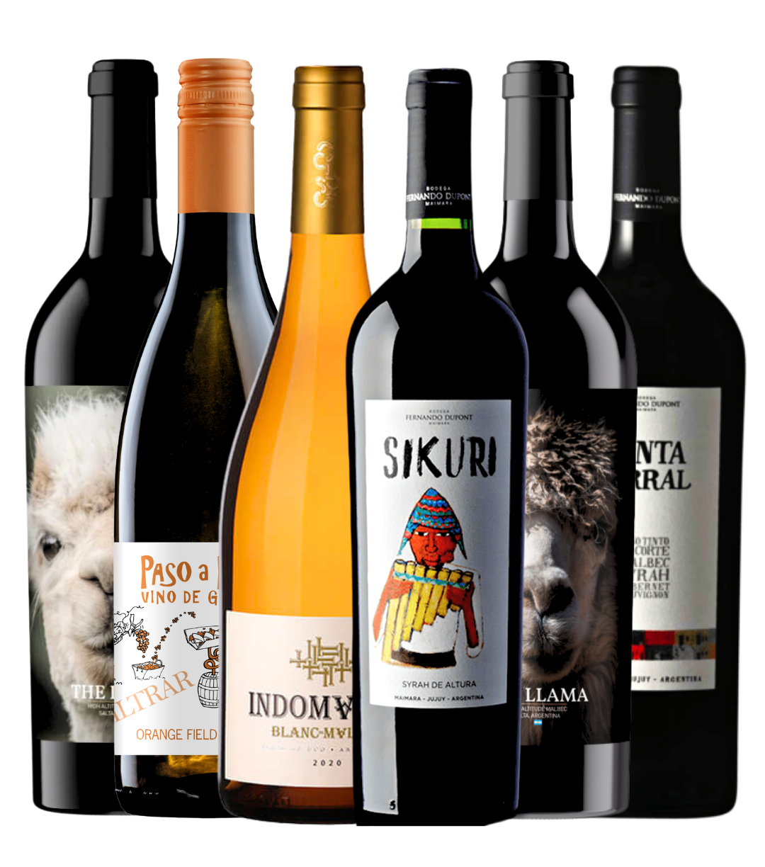 Coffret Découverte Vins d'Argentine (6x75cl)