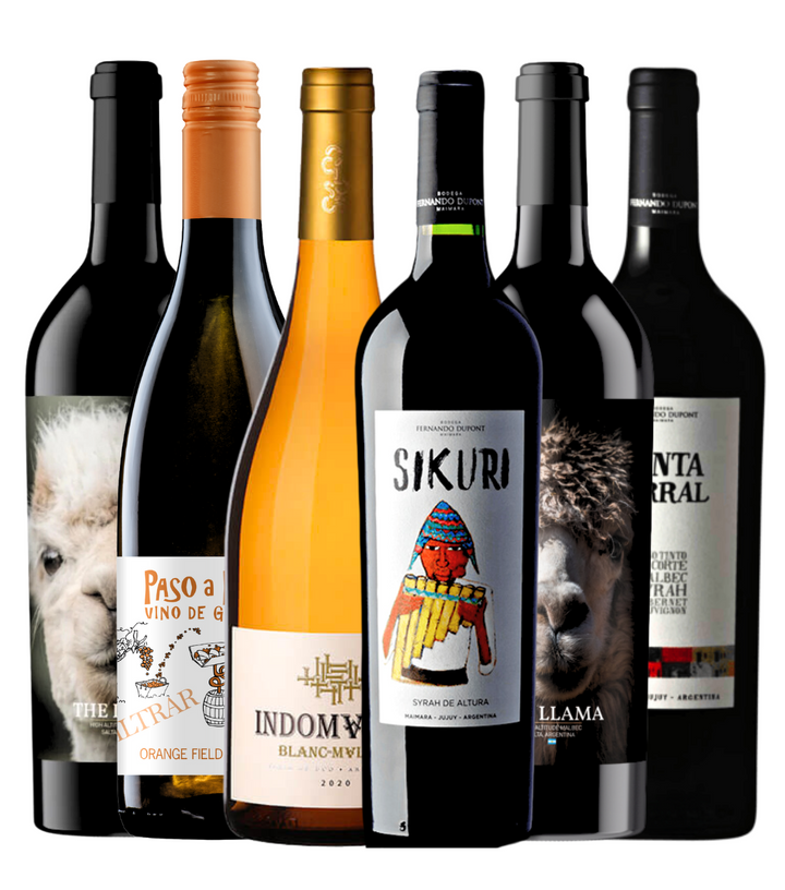 Coffret Découverte Vins d'Argentine (6x75cl)