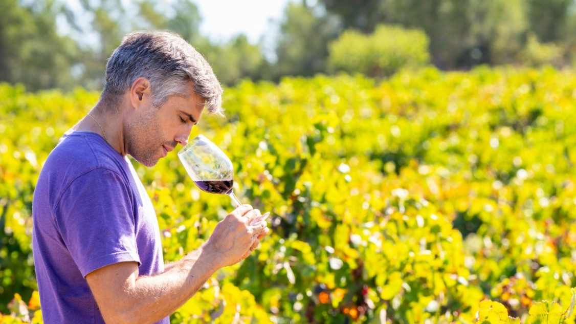 lavau dans les vignes