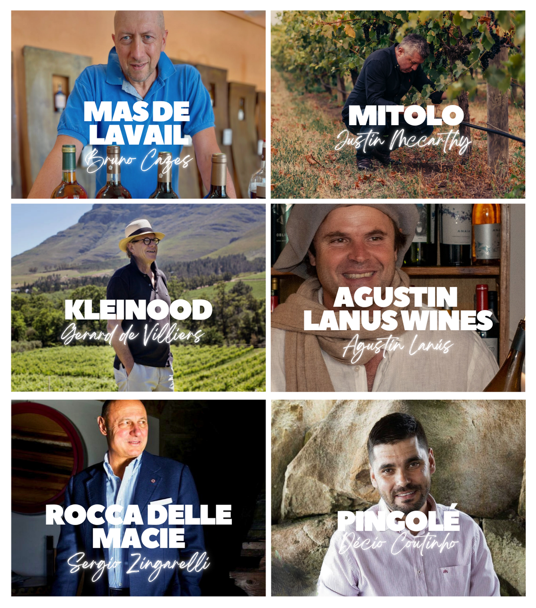 AFTER HOURS Wine Tasting - Wine Paris Edition - Feb 10, 2026