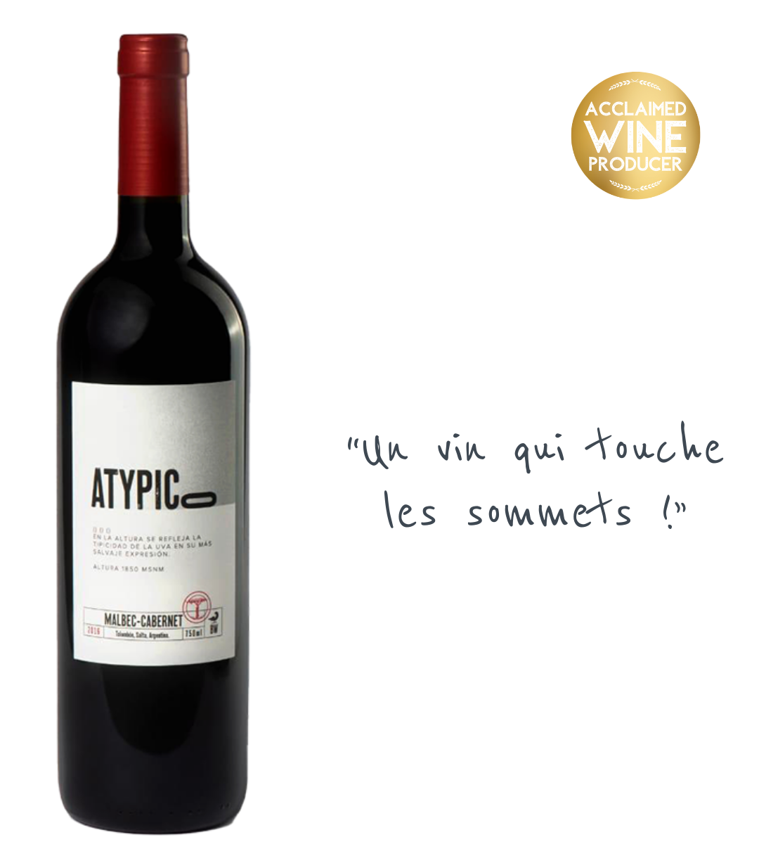 Agustin Lanus Atypico 2018, Malbec-Cabernet de Salta Argentine