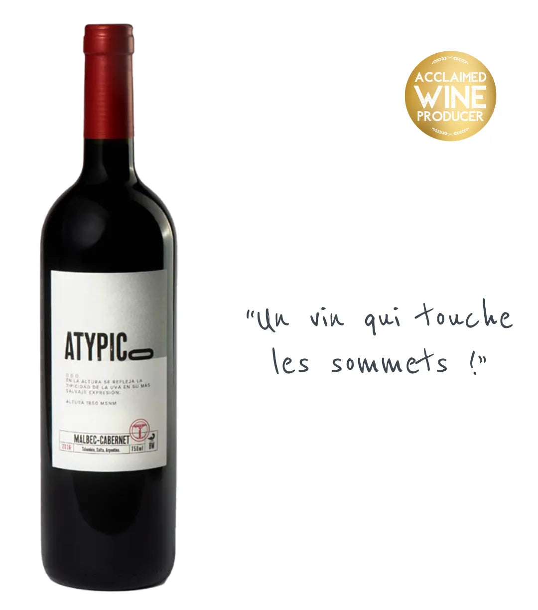 Agustin Lanus Atypico 2018, Malbec-Cabernet de Salta Argentine