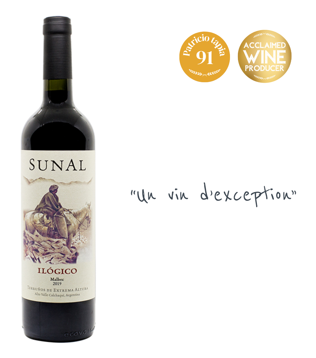 Agustin Lanus, Ilogico Malbec 2020, vin d'altitude