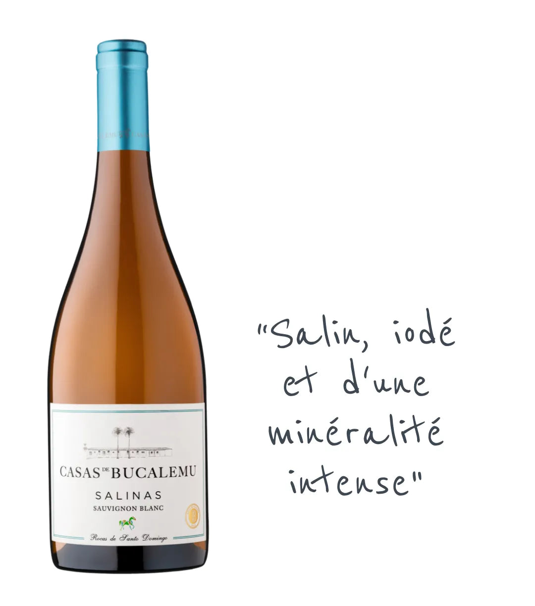Casas de Bucalemu Salinas Sauvignon Blanc 2021