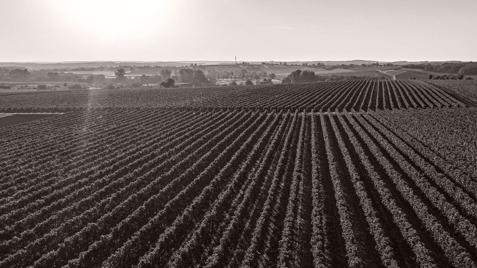 cognac lheraud paysage