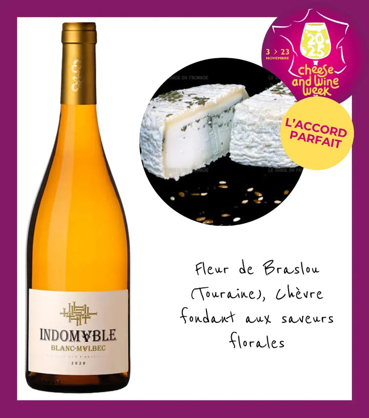 Colosso_Wines_Indomable_Blanc_de_Malbec_2022