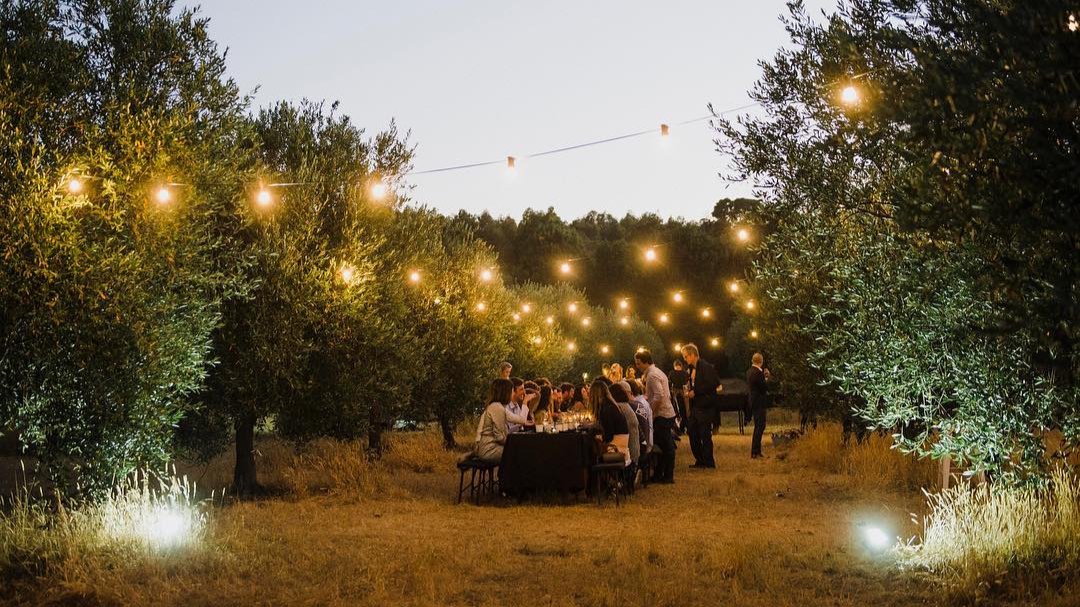 Diner dans les vignes