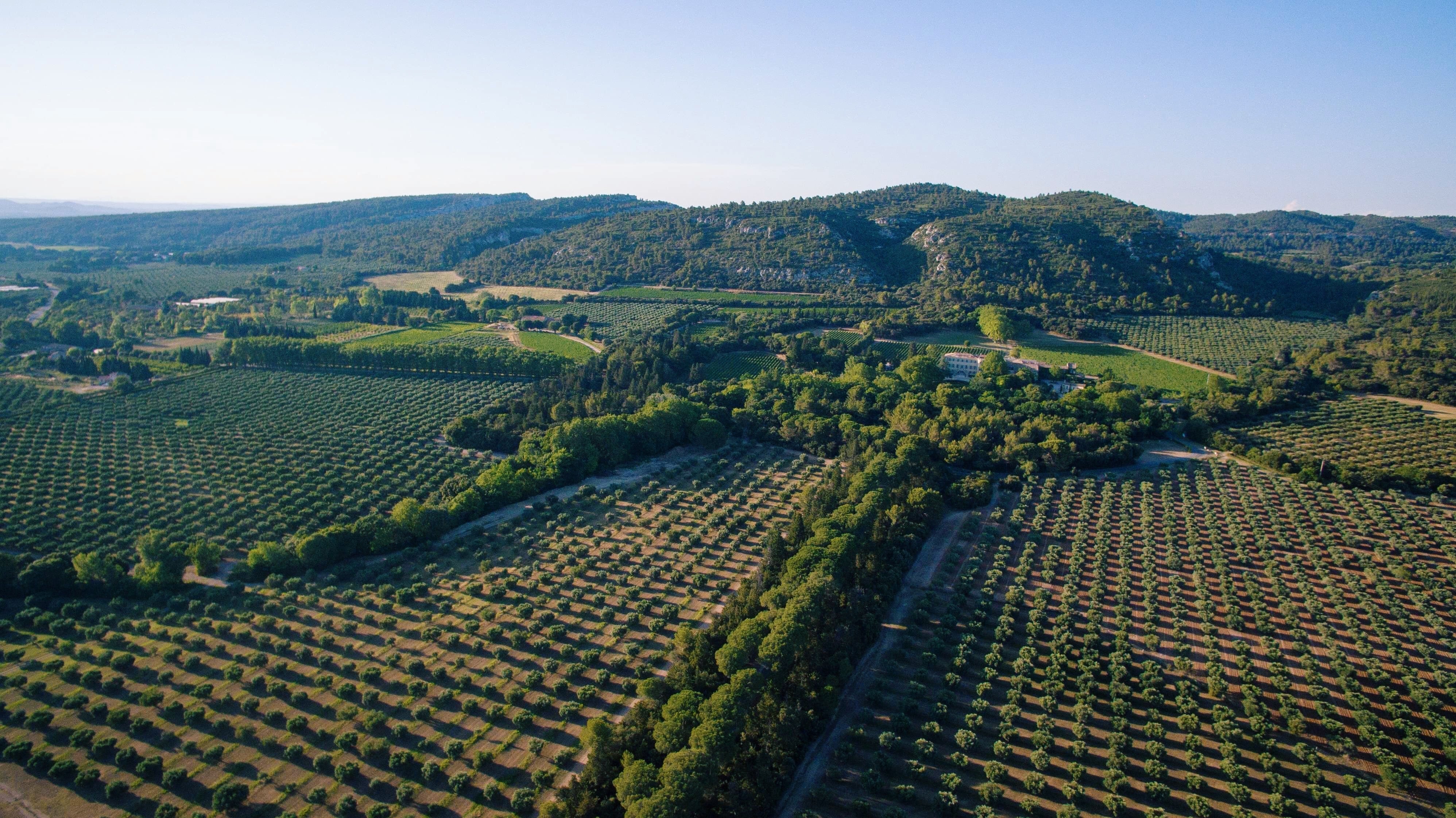 Domaine Estoublon