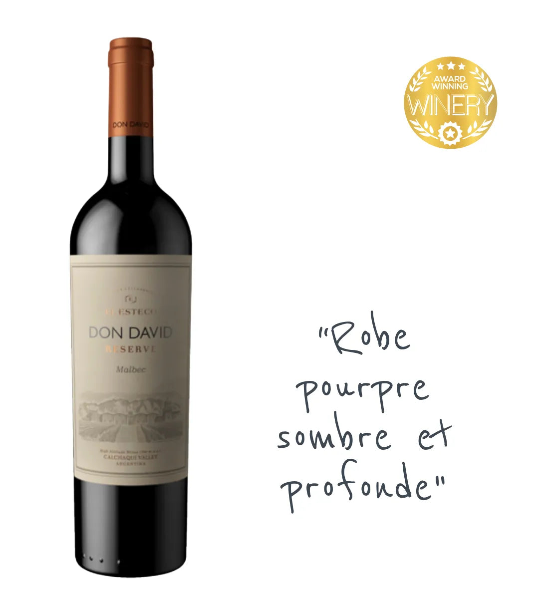 El Esteco Don David Reserve Malbec 2023