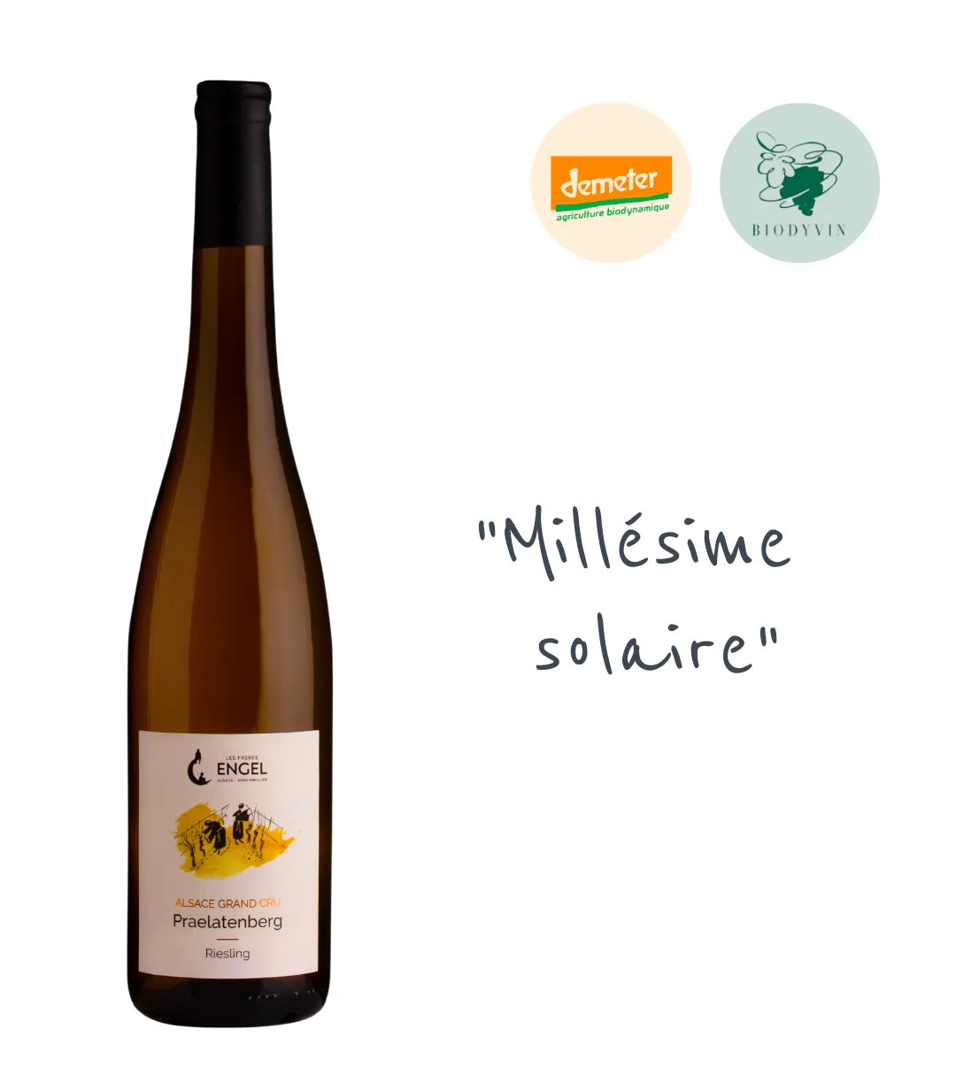 Riesling Praelatenberg 2020 : La puissance du gneiss dans un grand vin blanc. Élevé 23 mois sur lies. Salin, minéral et complexe. Bio et Demeter.