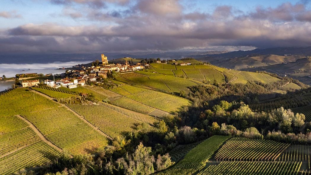 Piemont vignes