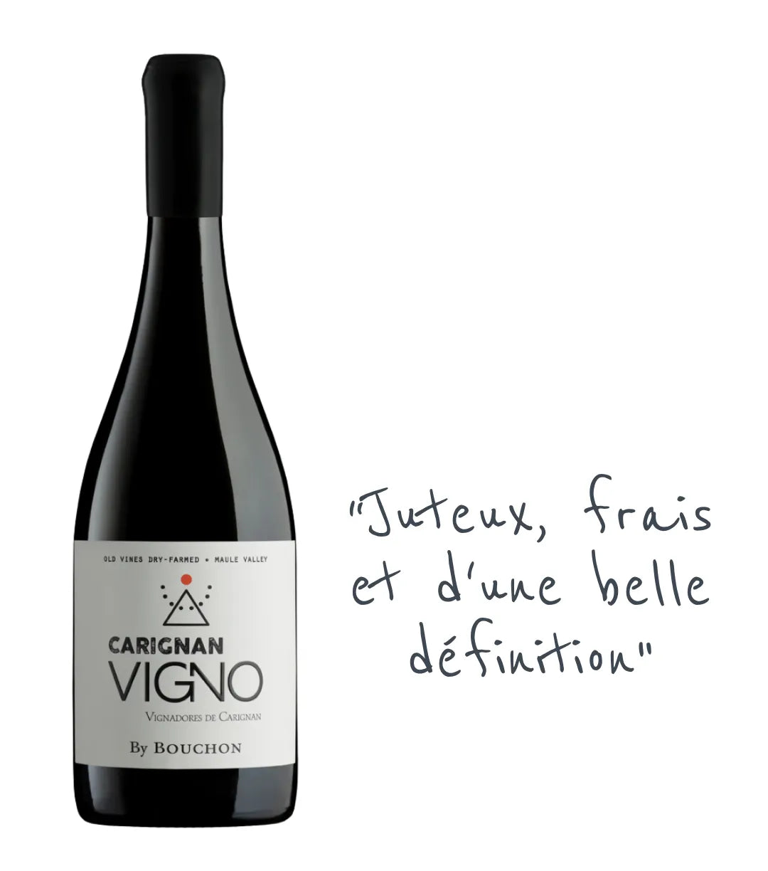 J. Bouchon Family Wines Vigno Carignan 2021