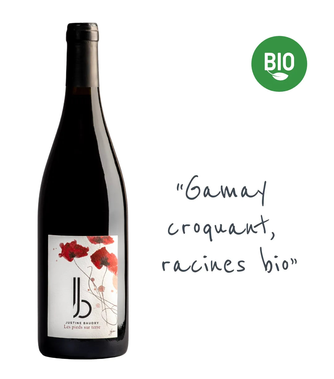 "Les pieds sur terre" 2024 : Un Gamay de Touraine bio signé Justine Baudry. Macération carbonique, notes de fruits rouges croquants et finale élégante.