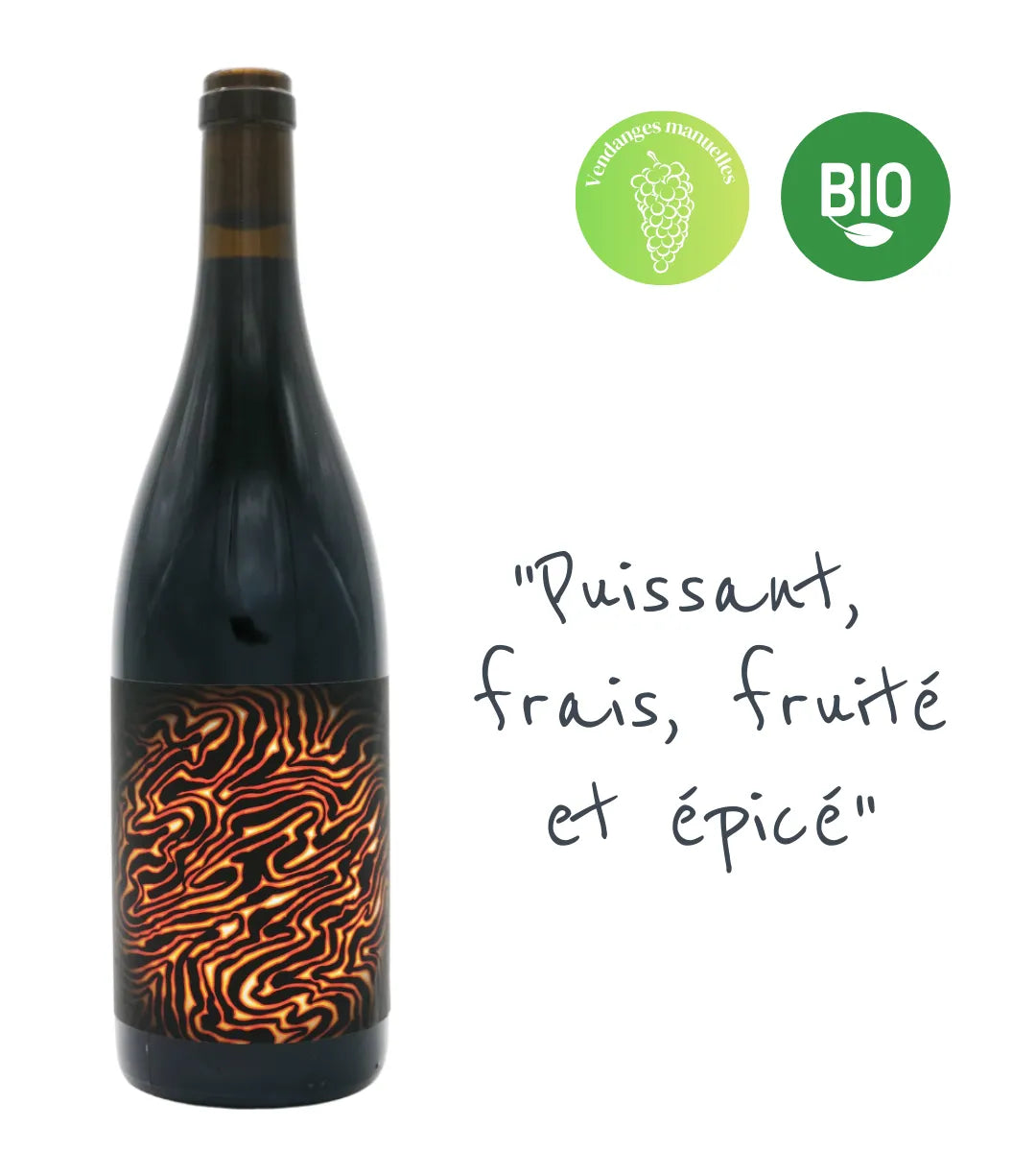 Magma 2022 : Bordeaux Rouge structuré (60% Cabernet Sauvignon). 12 mois d'élevage en barrique. Notes de cuir et fruits noirs, idéal pour la garde et la viande rouge.