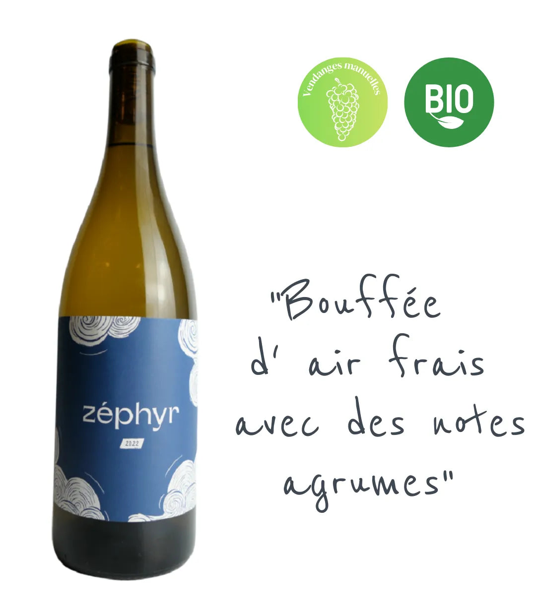 Zéphyr 2024 : L'assemblage blanc de la Micro Winerie (Sauvignon/Sémillon). Frais, vif, et aromatique sur l'Entre-Deux-Mers. Non filtré et sur levures indigènes.