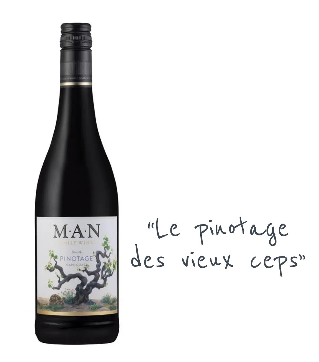 MAN Family Wines Bosstok 2024