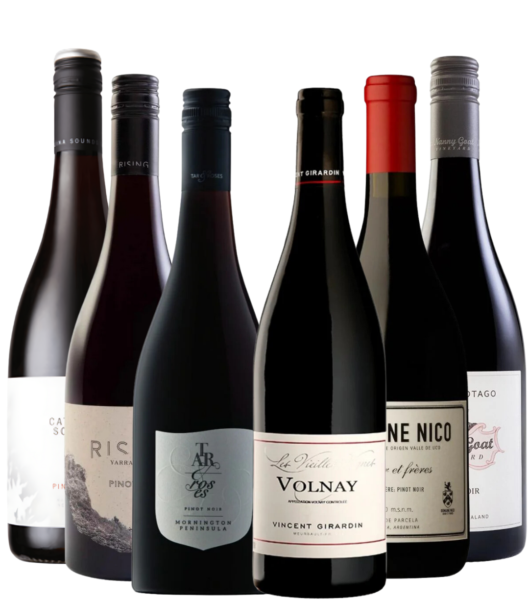 6 bouteilles de vins Pinot Noir