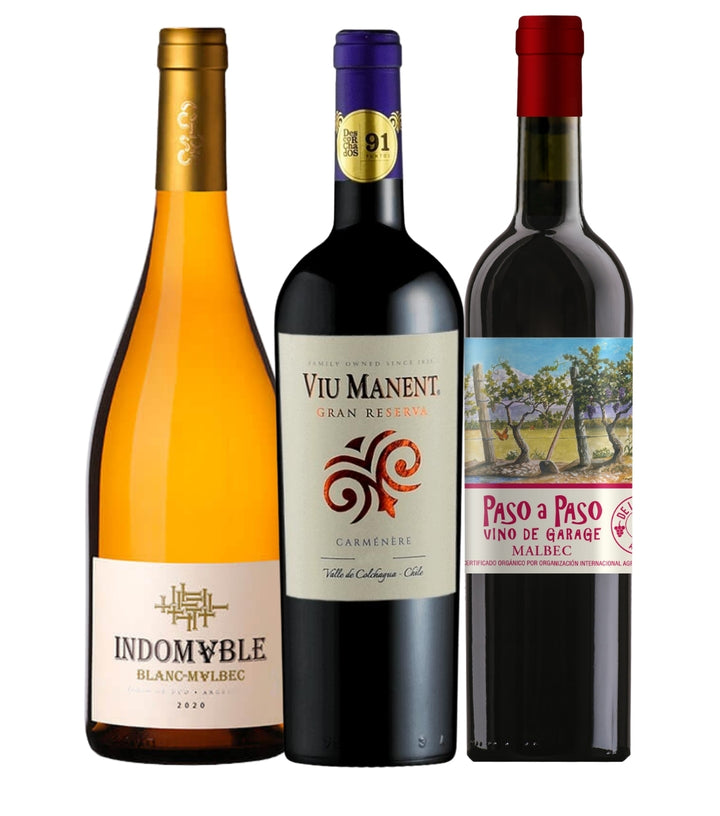 Un Coffret Découverte Vins d'Amérique du Sud