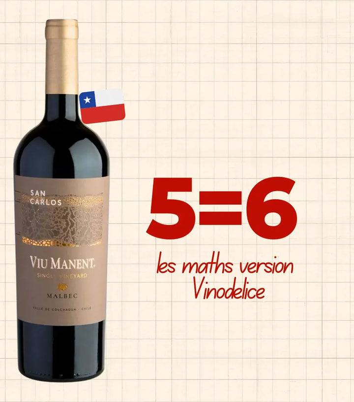 Viu Manent, 'Single Vineyard' San Carlos Estate, Malbec 2017