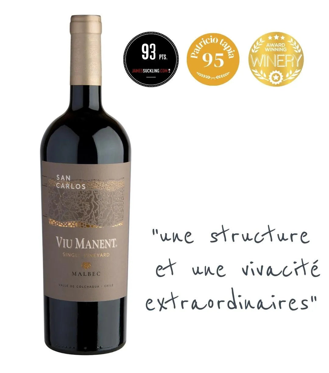 Viu Manent Single Vineyard San Carlos Estate Malbec 2017 FR
