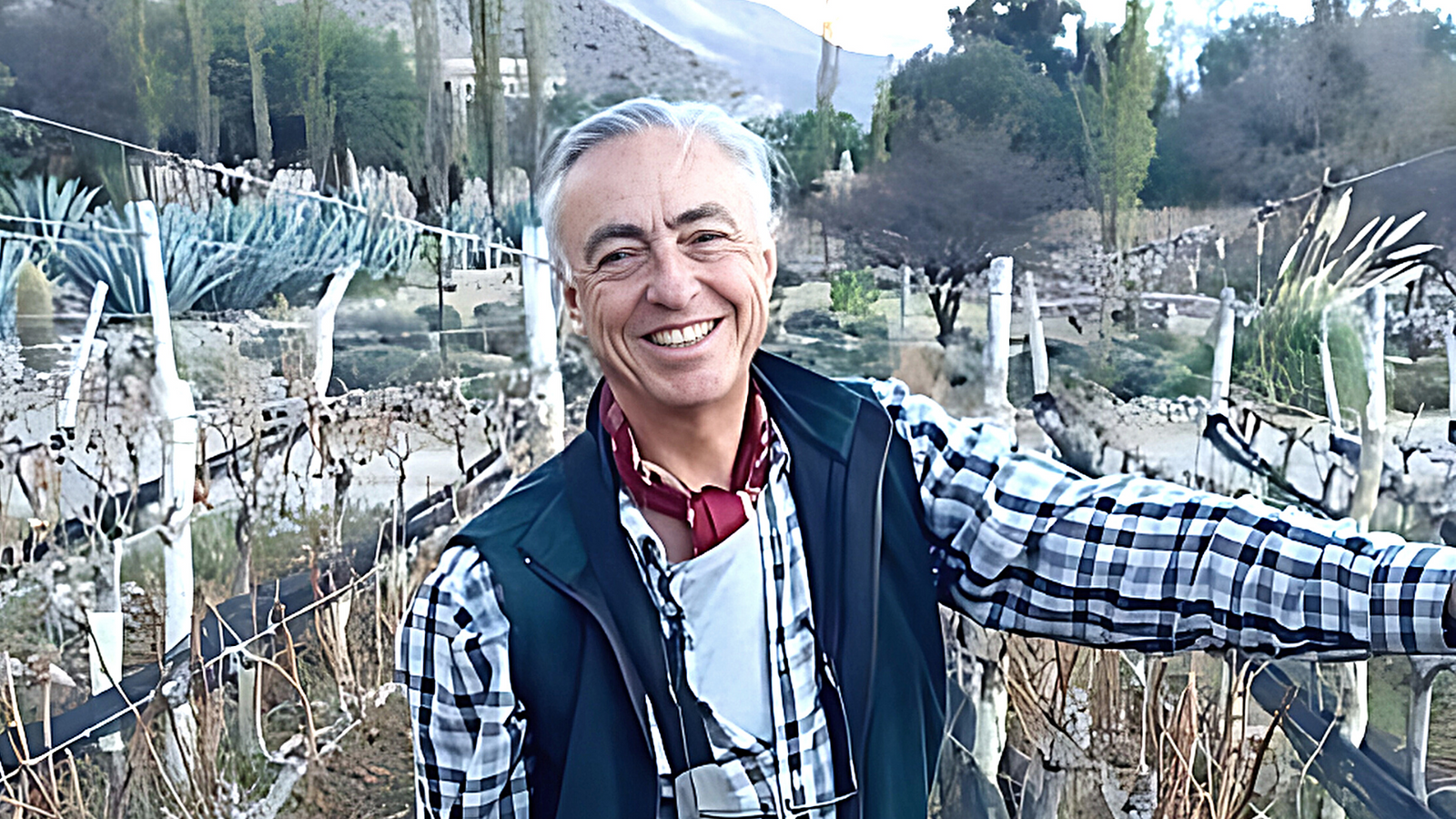 Vigne Fernando Dupont