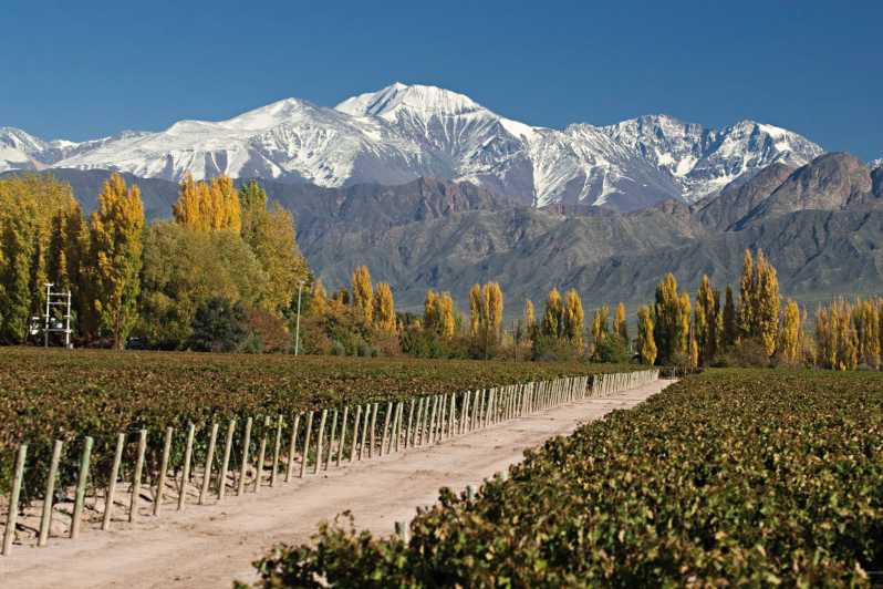 Montagne enneigée en Argentine